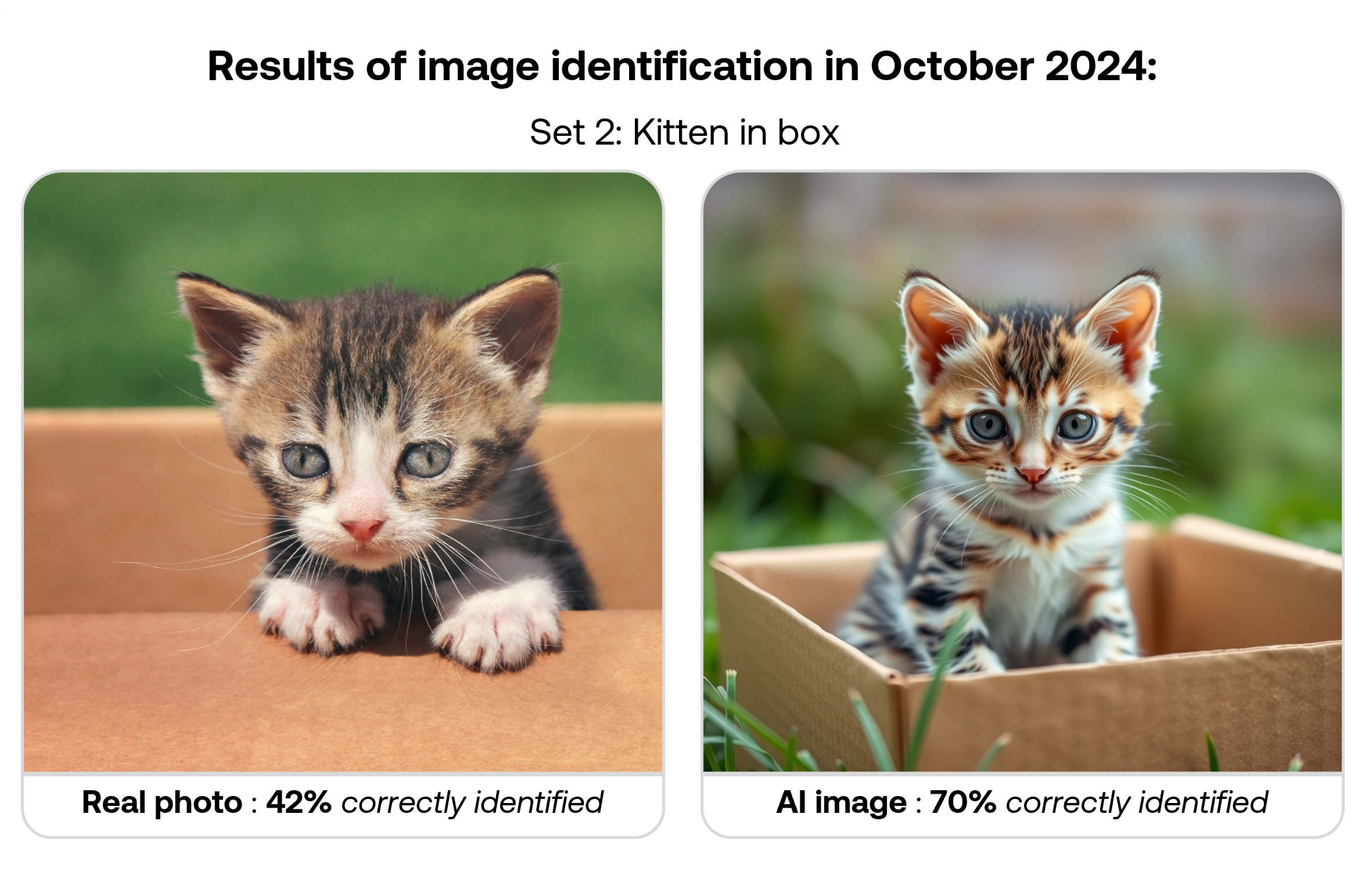 October 2024 survey second set